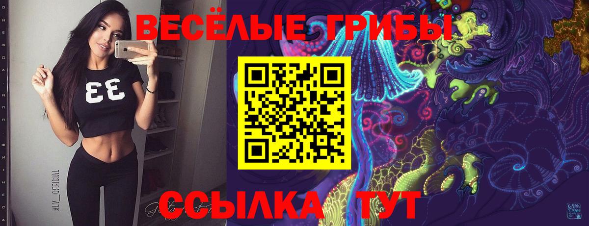 Реутов  Галлюциногенные грибы Magic Shrooms  продажа наркотиков  Вход с VPN  Галлюциногенные грибы ЛСД 